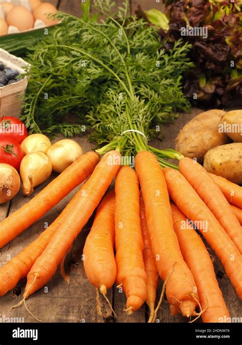 vegetable, harvest fresh, vegetables, harvest freshs Stock Photo - Alamy