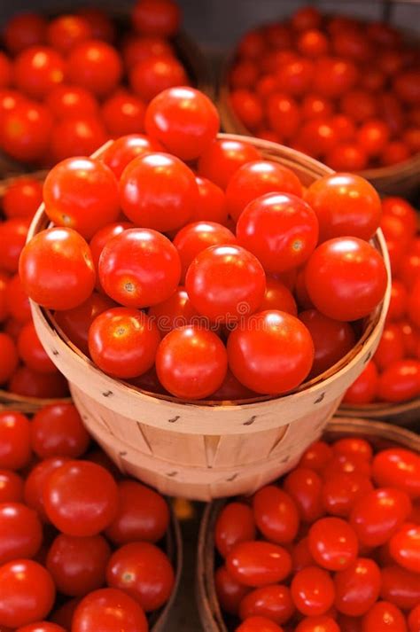 Tomatoes in baskets stock photo. Image of clean, close - 4365468