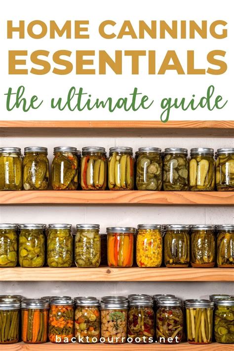 The ultimate guide to home canning essentials – Artofit