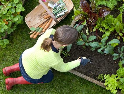 Learn Gardening APK for Android Download