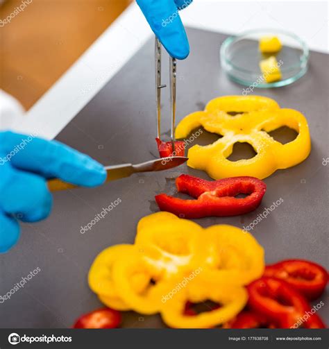 Quality Control Food Safety Inspector Working Vegetables Laboratory ...