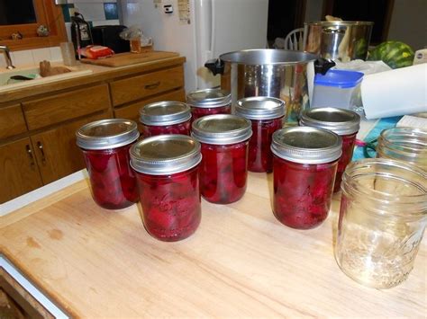 A How To: Canning Pickled Red Beets | Red beets, Beets, Canning