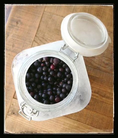 Safest ways to preserve excess garden berries for winter?