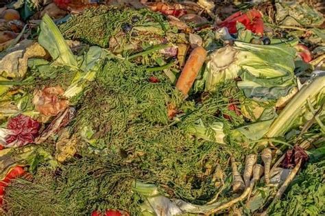 Benefits of Composting Food Waste | Growing And Gathering
