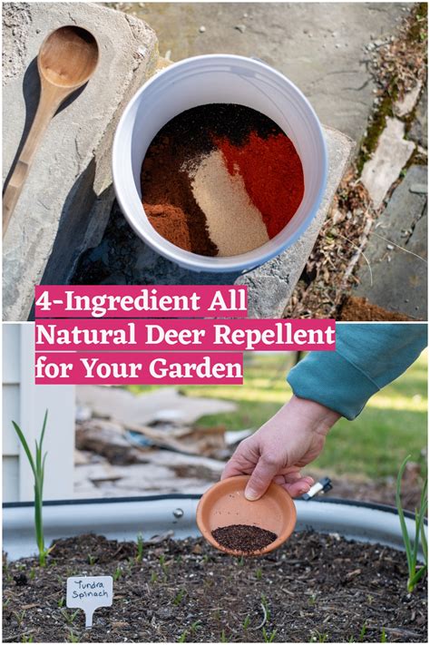 Best natural methods to deter deer from a country vegetable garden?