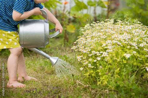 Cute little toddler boy watering plants with watering can in the garden ...