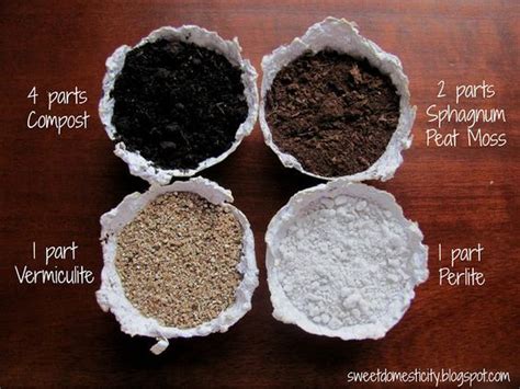 How to create the perfect homemade seed starting soil with 4 ...