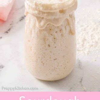 Sourdough Starter - Preppy Kitchen
