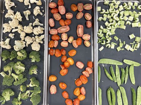 UMaine Extension offers workshop on freeze drying foods at home ...