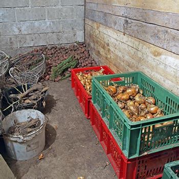 Best DIY method for preserving garden harvest without electricity?