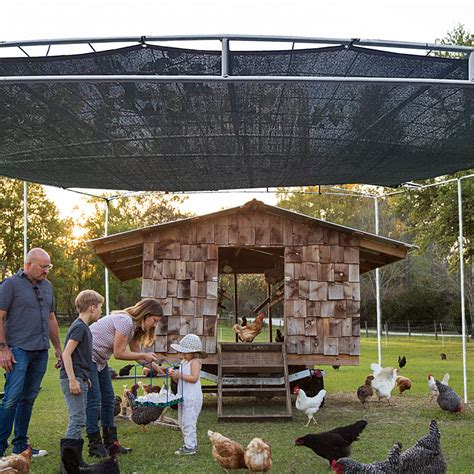 Shade Cloth Chicken Coop at Carolyn Redington blog