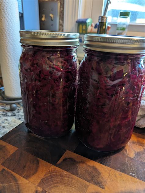 Red Cabbage Kraut : r/fermentation
