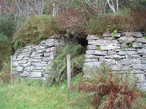 Root Cellaring Basics: Extending the Season Without Canning - Backdoor ...