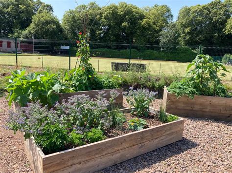 Reclaimed Wood Raised Beds | Glasgow Wood Recycling