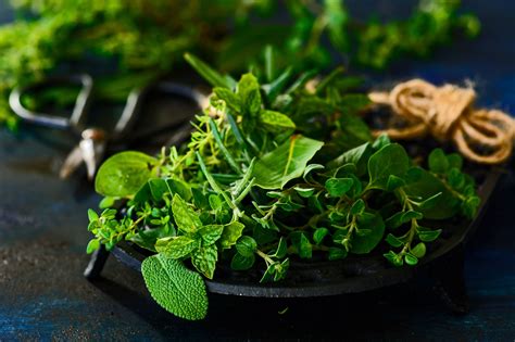 What Are Herbs and How Are They Different From Spices?