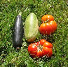 Summer’s Bounty | Lowcountry Weekly