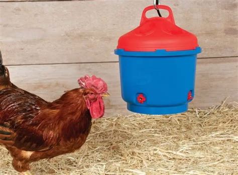Top 6 Best Heated Chicken Waterer Reviews (2022 Updated) - Sand Creek Farm