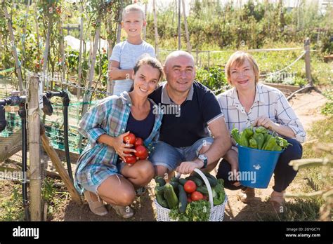 Family in garden with gathered vegetables Stock Photo - Alamy