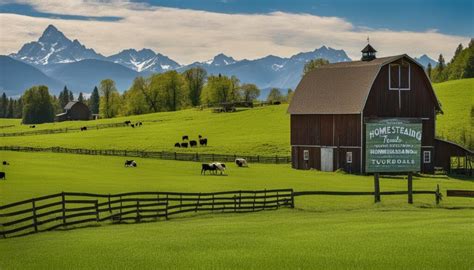 5 Top Homestead YouTube Channels for Self-Sufficiency