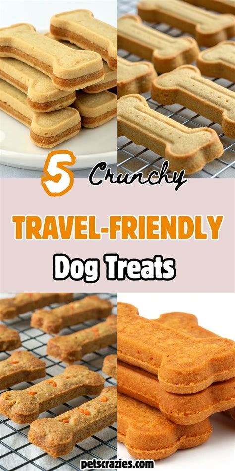 5 Travel-Friendly Dog Treats in 2025 | Healthy dog treats homemade ...