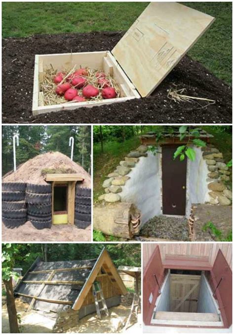 DIY a sturdy, budget-friendly root cellar for winter food storage?