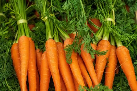How to Grow Carrots: A Comprehensive Guide - Natural Seed Bank