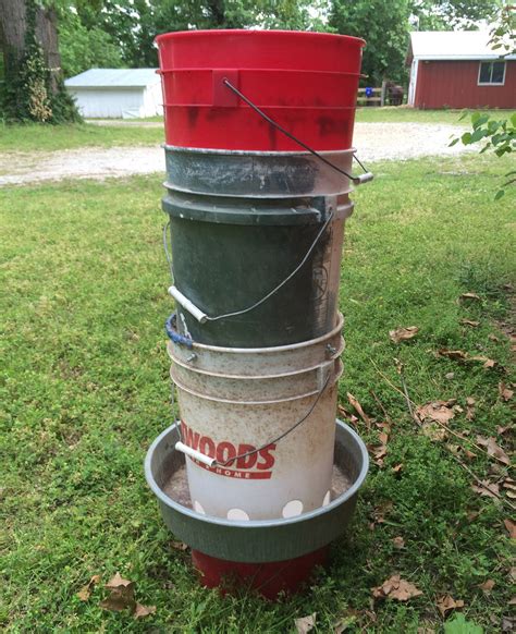 Easy Guide: What Should be Inside a Chicken Coop | Hawk Hill