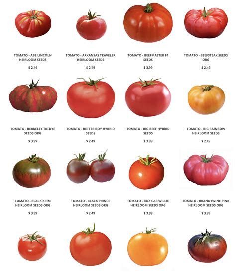 Best tasting heirloom tomatoes to grow – Artofit