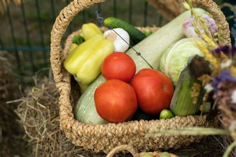 Premium Photo | Harvest in autumn healthy food fresh food from garden