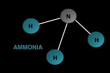 Ammonia