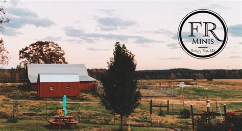 Muddy Boots Farm added a new photo. - Muddy Boots Farm