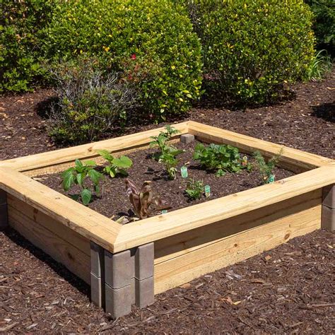 6 Inexpensive Raised Garden Bed Ideas - Driven by Decor