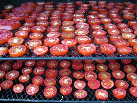 Preserving Tomatoes