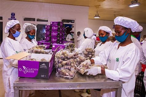 Five years on, Garden Fresh exports 20T of fresh produce every week.