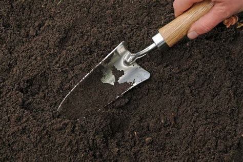How to organically enrich garden soil for heirloom vegetables?