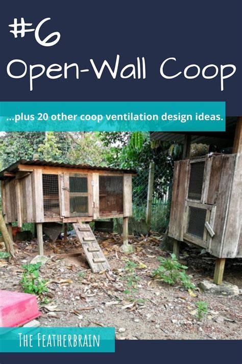 DIY chicken coop ventilation: What’s the best draft-free design?