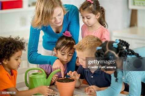 564 Preschool Classroom Plants Stock Photos, High-Res Pictures, and ...