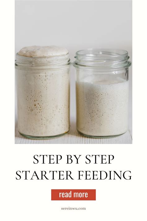 Beginner's Guide to Feeding Your Sourdough Starter for Delicious Bread ...