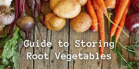 Guide to Storing Root Vegetables – Farmbox Co.