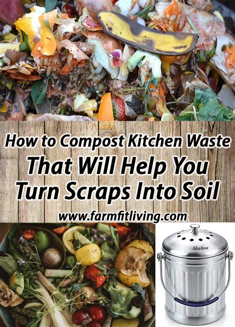 How to Compost Kitchen Waste That will Help You Turn Scraps into Soil