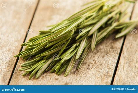 Freshly harvested herbs stock photo. Image of choice - 62730846