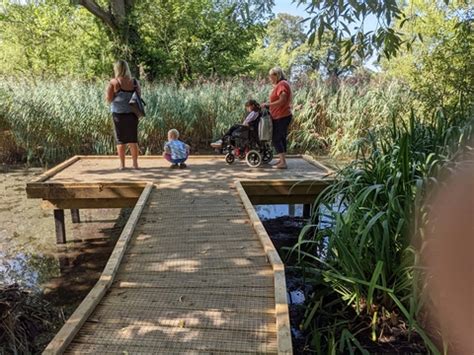 Big Pool Wood Nature Reserve | North Wales Wildlife Trust