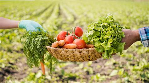 What are the Health Benefits of Organic Farming? – NutritionFact.in