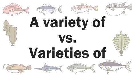 「a variety of」と「varieties of」の違い | えいごのこと