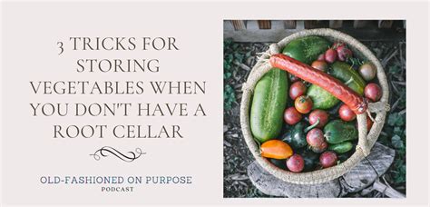 167. 3 Tricks for Storing Vegetables When You Don't Have a Root Cellar ...