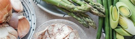 Probiotics vs. Prebiotics