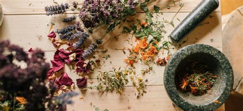 Drying Herbs for Tea - Tea and Herbal Infusions