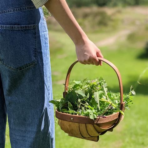 Foraging Vouchers