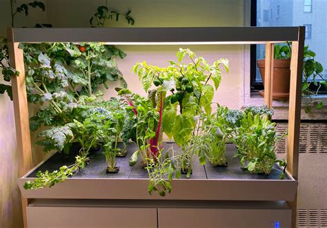 10 Indoor Gardening Ideas To Make Your Home Eco-Friendly - Archute