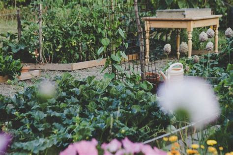 How to Plan a Prolific Family Food Garden (for 2, 4, or More) - Garden ...